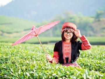 Mộc Châu trong sương sớm